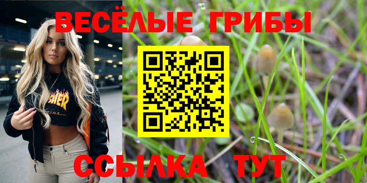 Псилоцибиновые грибы Psilocybine cubensis Уварово